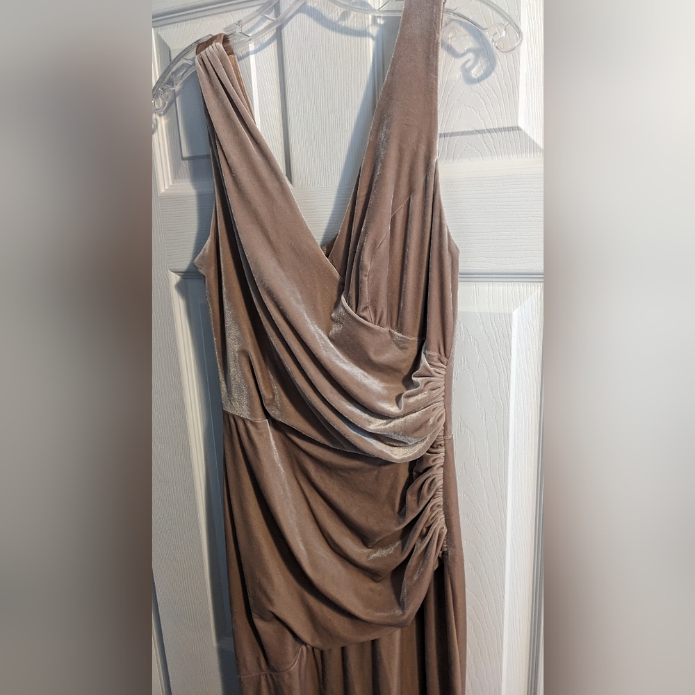 Revelry Dawson Champagne Velvet Size 10 dress